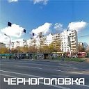 Черноголовка для своих