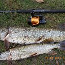 Охота и Рыбалка в Дрогичинском районе