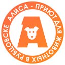 АЛИСА - приют для бездомных животных Рубцовск