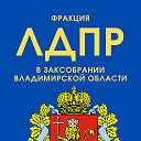 Фракция ЛДПР в ЗакСобрании Владимирской области