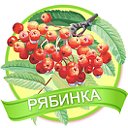 "Рябинка" - детский сад "Василек"!