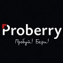proberry.ru