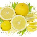 Лимоны Cítrus límon Цитрусы растение, плоды, сок и