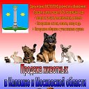 Продажа животных в Коломне и Московской области