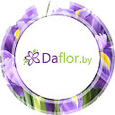 Цветы в Минске (оптовые цены) ::: daflor.by