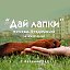 Помощь бездомным животным Дай лапки ( Калининград)