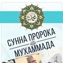 Сунна Пророка Мухаммада ﷺ