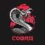 🐍COBRA 🐍