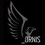 ORNIS Строительная компания