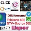 ✅ШАРИНГ IPTV