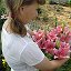 flowerist.svetlana