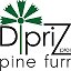 Dipriz Shop