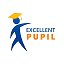 Exсellent pupil bishkek