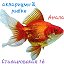 Аквариумы рыбки Магазин Goldfish Анапа