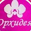Орхидея- магазин косметики белья