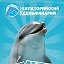 Евпаторийский Дельфинарий