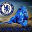 Chelsea Blue - -The Color