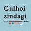 Gulhoi Zindagi