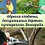 Обрезка деревьев Новошахтинск