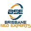 brisbaneseoexperts