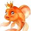 goldfish64.ru89093414973