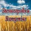 Сайт Ватутино и Звенигородки