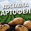 Картофель 37(Иваново)