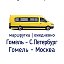 Гомель - Москва ┃ Гомель - Питер автобус