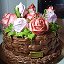 Marina_cake Торты и пирожные