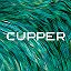 CUPPER LLC