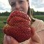 farm.belarus