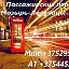 Маршрутка Мозырь Лельчицы