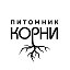 Питомник КОРНИ