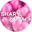 Sharobooms 🎈 Шарики с доставкой