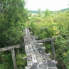 Село красногорское алтайский край. Погода березовке в красногорском районе алтайского края. Погода березовке в красногорском районе алтайского края. Погода березовке в красногорском районе алтайского края. Село березовка алтайский край.