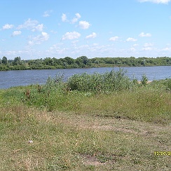 шевали-майданы рязанская область. шевали майданы рязанской обл. шевали майдан сасовский район. шевали майданы. шеф майдан сасовский район.