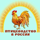 Птицеводство в России