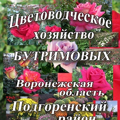 Питомник бутримовых каталог. Розы Бутримовых. Питомник роз Бутримовых. Цветоводческое хозяйство Бутримовых.