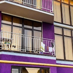 гостевой дом дана ул 8 марта