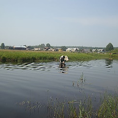 Поселок усть березовка. Поселок усть березовка. Поселок березовка печора. Поселок березовка свердловская область. Поселок усть березовка.