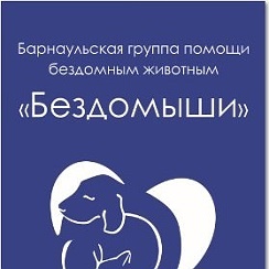 потеряшки барнаул кошки. бездомыши. рисунок как помочь бездомышу. бездомыши барнаул. бездомыши барнаул.
