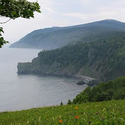быкадорова комитет экономики волгоградской области. воздух рабочая группа. бим ассоциация никульцева александра. рабочая группа. свойства воздух свойства воздуха.