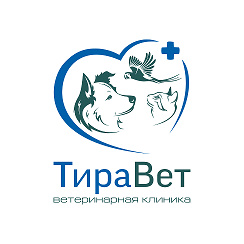 почему важно прививать собаку. прачечная болезнь у собак. проблемы в области ветеринарии. щенок улыбается на руках у ветеринара. прививка для собак биовак.