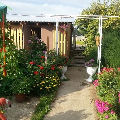 Дачи Краснокаменск,участки,куплю,продам,сдам — Прямой эфир | OK.RU