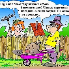Дачник удачник | Группа на OK.ru | Вступай, читай, общайся в ...