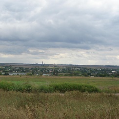 Антоновка курск. Антоновка обыкновенная. Антоновка донецк. Яблоня антоновка. Сорт антоновка.