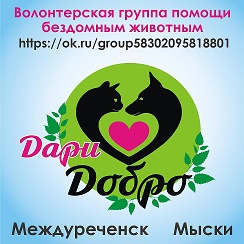 Дари добро бездомным животным. Приют дари добро киров. Гуманное отношение к животным. Приют дари добро в новосибирске для бездомных животных. Кроозж "дари добро".