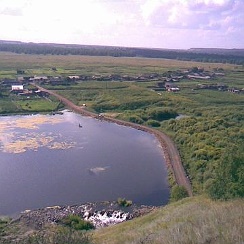 Курай красноярского