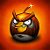 ๑۩۞۩๑Angry Birds๑۩۞۩๑