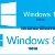 Instalam Windows 8.1 , 10